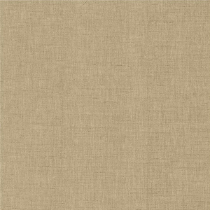 Kamari Pewter by Kasmir Designer Fabric 5150 100% Polyester
 INDIA </p><p>Repeat: Horizontal: N/A and Vertical: N/A 54 - Swanky Fabrics -