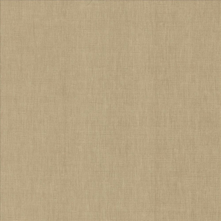 Kamari Pewter by Kasmir Designer Fabric 5150 100% Polyester
 INDIA Not Tested </p><p>Repeat: Horizontal: N/A and Vertical: N/A 54 - Swanky Fabrics -