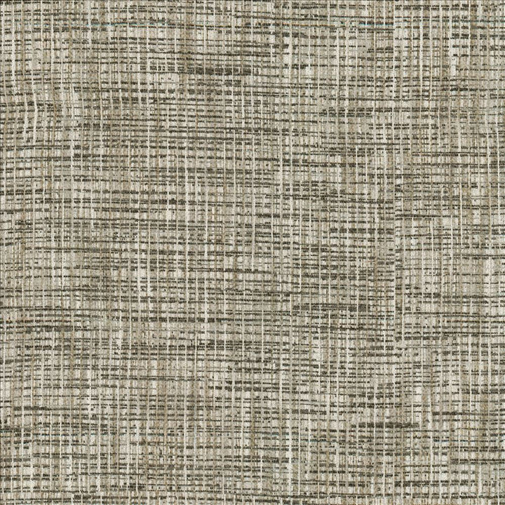 Katniss Granite by Kasmir Designer Fabric 1461 86% Polyester
14% Rayon
 INDIA </p><p>Repeat: Horizontal: N/A and Vertical: N/A 57 - Swanky Fabrics -