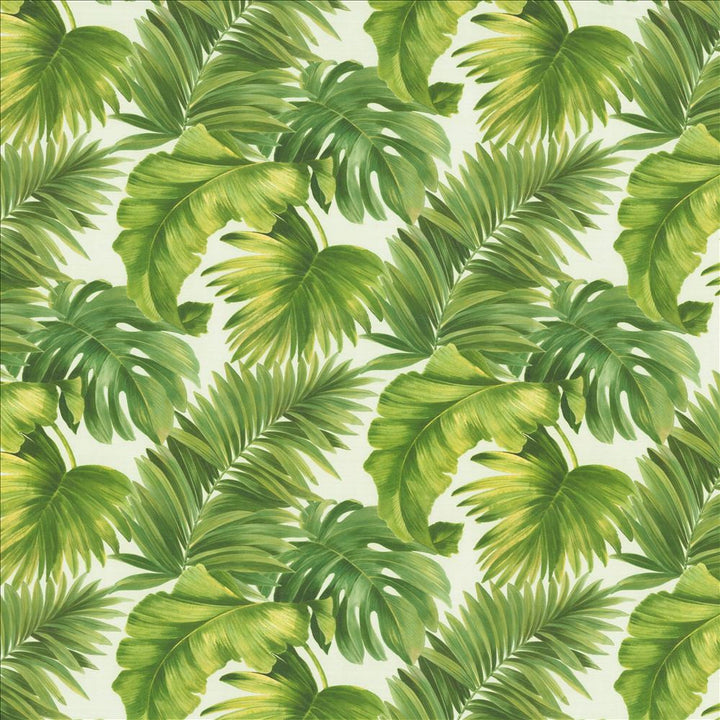 Keanu Palm 55 Green by Kasmir Designer Fabric See sample 65% Polyester
35% Cotton
 SPAIN 40,000 Martindale Cycles </p><p>Repeat: Horizontal: 27 5/8 inches and Vertical: 24 4/8 inches 55 - Swanky Fabrics -