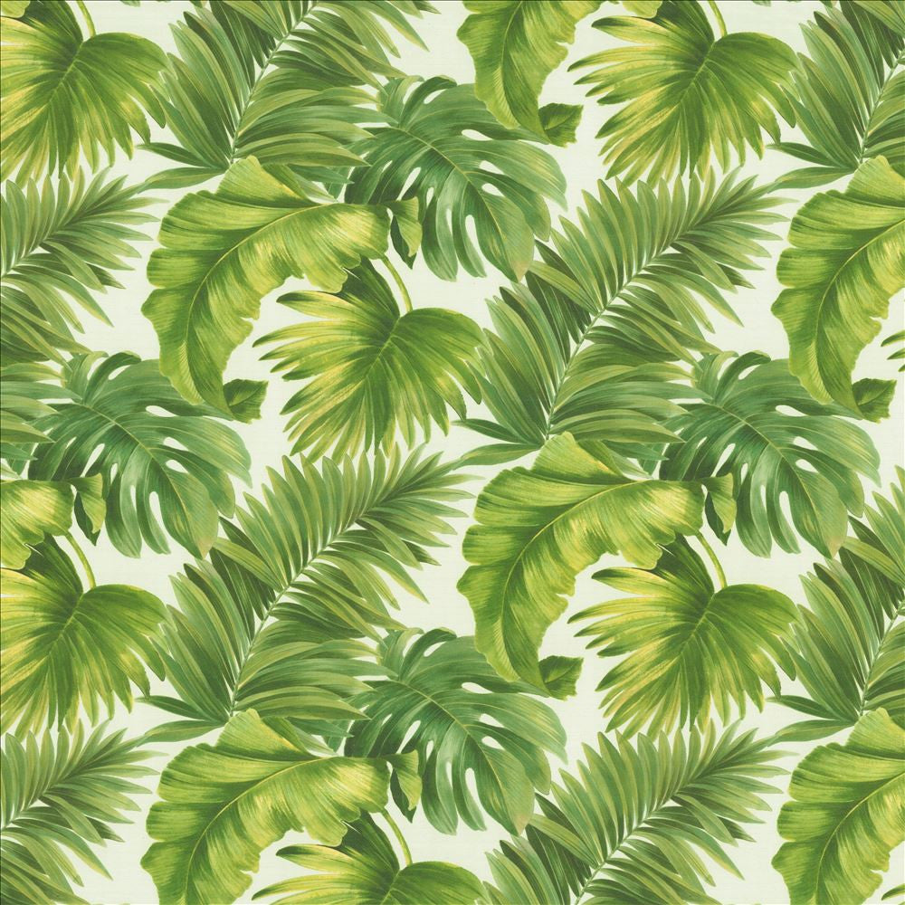 Keanu Palm 55 Green  by Kasmir Designer Fabric 1453 65% Polyester
35% Cotton
 SPAIN 40,000 Martindale Cycles Horizontal: 27 5/8 inches and Vertical: 24 4/8 inches 55  - Swanky Fabrics -