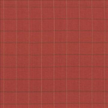 Keheley Firethorn by Kasmir Designer Fabric 1440 100% Cotton INDIA 12,000 Wyzenbeek Double Rubs H: 3 inches, V: 3 inches 53 - 54 - Swanky Fabrics - Kasmir