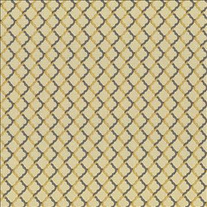 Kasmir Fabric Kilburne Rococo