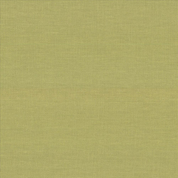 Kilkenny Pear by Kasmir Designer Fabric 5091 100% Linen
 CHINA 15,000 Wyzenbeek Double Rubs </p><p>Repeat: Horizontal: N/A and Vertical: N/A 54 - Swanky Fabrics -