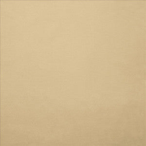 Kasmir Fabric Knockout Beige