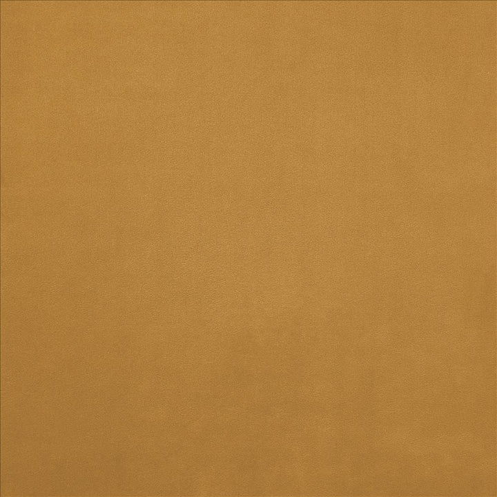 Knockout Harvest by Kasmir Designer Fabric 5177 100% Polyester
 CHINA </p><p>Repeat: Horizontal: N/A and Vertical: N/A 54 - Swanky Fabrics -