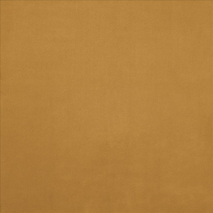 Knockout Harvest by Kasmir Designer Fabric 5177 100% Polyester
 CHINA 100,000 Wyzenbeek Double Rubs </p><p>Repeat: Horizontal: N/A and Vertical: N/A 54 - Swanky Fabrics -