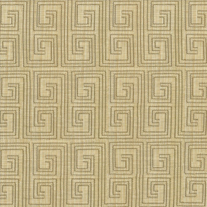 Labyrinth Dune  by Kasmir Designer Fabric 1443 65% Cotton
35% Polyester
Embroidery
100% Rayon
 INDIA 3,000 Wyzenbeek Double Rubs Horizontal: 3 2/8 inches and Vertical: 6 1/8 inches 52  - Swanky Fabrics -