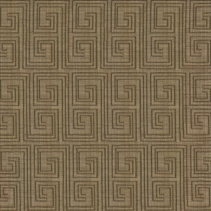 Labyrinth Moss  by Kasmir Designer Fabric 1443 65% Cotton
35% Polyester
Embroidery
100% Rayon
 INDIA 3,000 Wyzenbeek Double Rubs Horizontal: 3 2/8 inches and Vertical: 6 1/8 inches 52  - Swanky Fabrics -