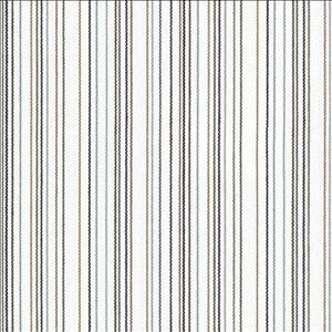 Kasmir Fabric Larson Stripe Charcoal