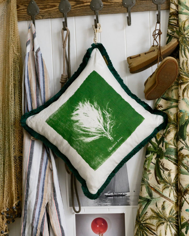 Algae II pillow by Mind the Gap (LC40075), view 5