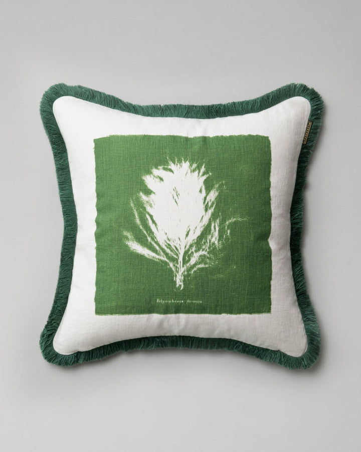 Algae II pillow by Mind the Gap (LC40075), front