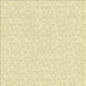 Kasmir Fabric Leaf Overlay Cream