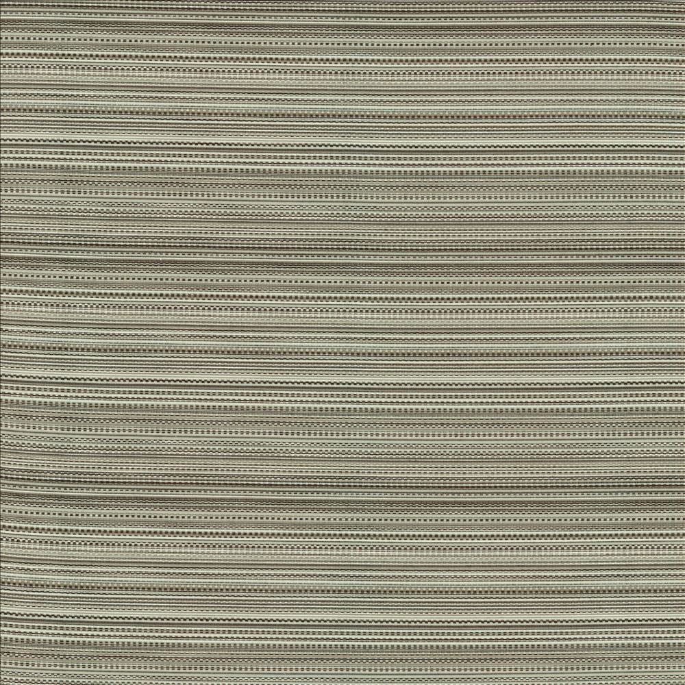 Legendary Graphite by Kasmir Designer Fabric 5144 69% Rayon
31% Polyester
 USA </p><p>Repeat: Horizontal: N/A and Vertical: 5 6/8 inches 54 - Swanky Fabrics -