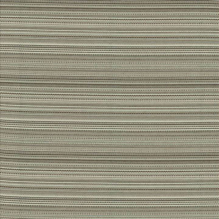 Legendary Graphite by Kasmir Designer Fabric 5144 69% Rayon
31% Polyester
 USA </p><p>Repeat: Horizontal: N/A and Vertical: 5 6/8 inches 54 - Swanky Fabrics -