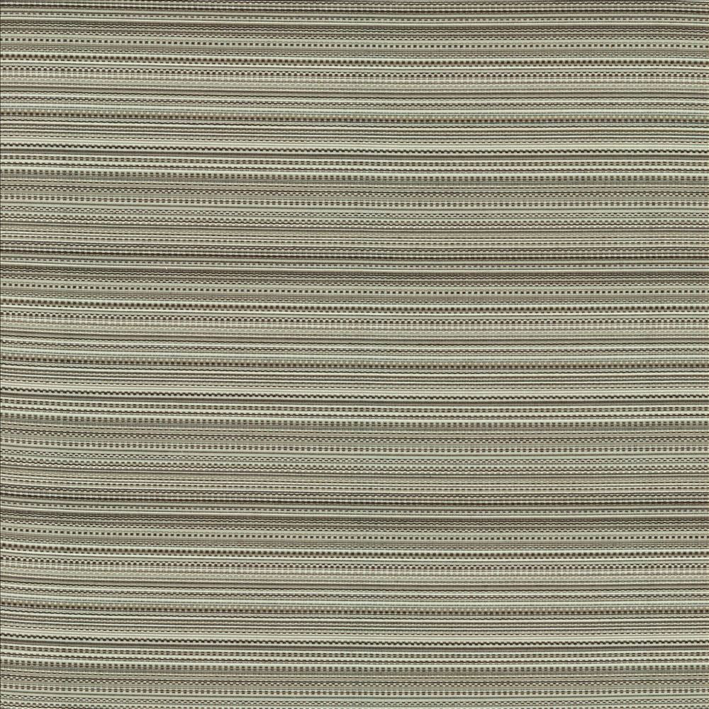 Legendary Graphite by Kasmir Designer Fabric 5144 69% Rayon
31% Polyester
 USA 15,000 Wyzenbeek Double Rubs </p><p>Repeat: Horizontal: N/A and Vertical: 5 6/8 inches 54 - Swanky Fabrics -