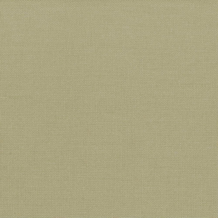 Lismore Bay Leaf by Kasmir Designer Fabric 1432 100% Linen BRAZIL 8,000 Wyzenbeek Double Rubs Horizontal: 0 Inches and Vertical: 0 Inches 54 - Swanky Fabrics -