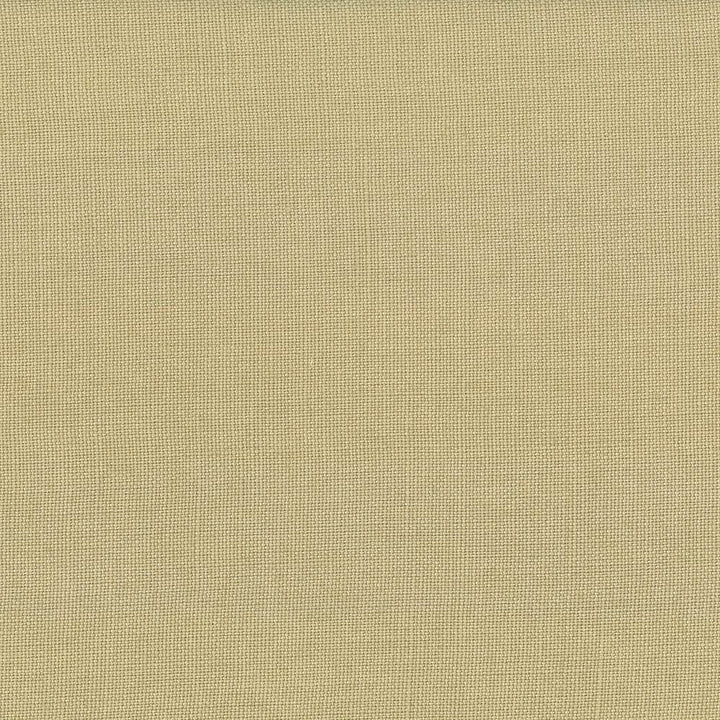Lismore Mushroom by Kasmir Designer Fabric See sample 100% Linen
 BRAZIL 8,000 Wyzenbeek Double Rubs </p><p>Repeat: Horizontal: N/A and Vertical: N/A 54 - Swanky Fabrics -