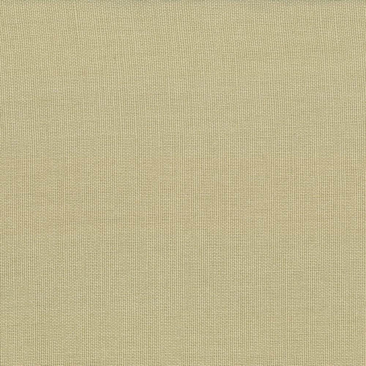Lismore Tea Stain by Kasmir Designer Fabric 1432 100% Linen
 BRAZIL </p><p>Repeat: Horizontal: N/A and Vertical: N/A 54 - Swanky Fabrics -