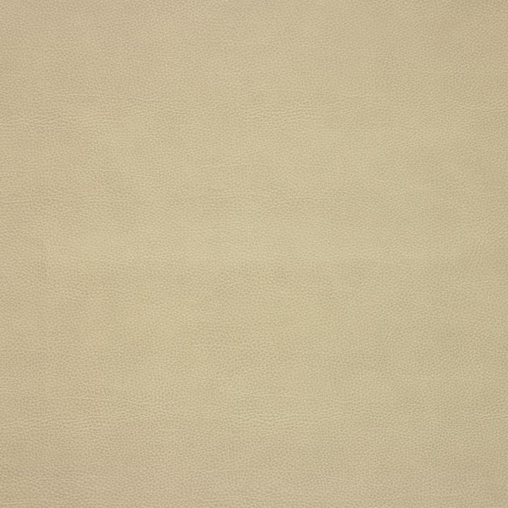 LORIS.106 by Kravet Design Designer Fabric our website for purchase 100% Leather Korea, Republic of Heavy Horizontal: see sample and Vertical: see sample 54 inches - Swanky Fabrics -