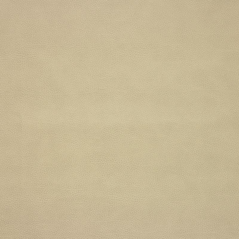 LORIS.106 by Kravet Design Designer Fabric our website for purchase 100% Leather Korea, Republic of Heavy Horizontal: see sample and Vertical: see sample 54 inches - Swanky Fabrics -