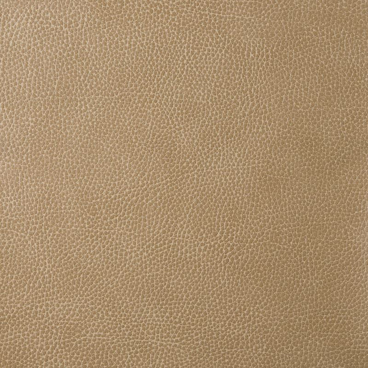LORIS.30 by Kravet Design Designer Fabric our website for purchase 100% Leather Korea, Republic of Heavy Horizontal: see sample and Vertical: see sample 54 inches - Swanky Fabrics -