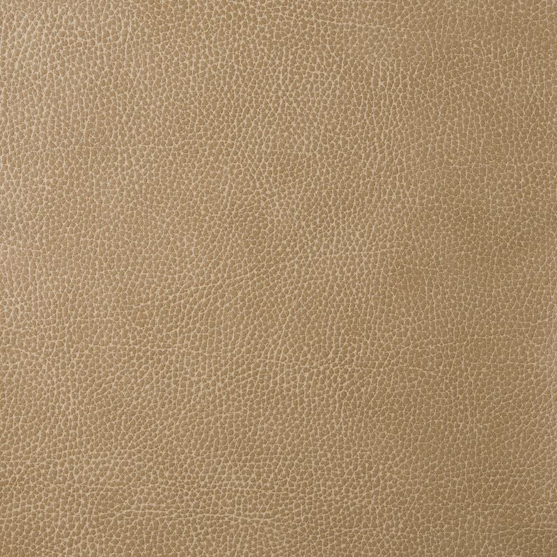 LORIS.30 by Kravet Design Designer Fabric our website for purchase 100% Leather Korea, Republic of Heavy Horizontal: see sample and Vertical: see sample 54 inches - Swanky Fabrics -