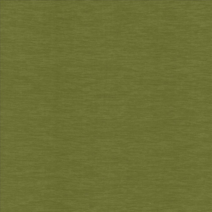 Lucinda Avocado by Kasmir Designer Fabric 5166 72% Rayon
28% Polyester
 CHINA </p><p>Repeat: Horizontal: N/A and Vertical: N/A 54 - Swanky Fabrics -