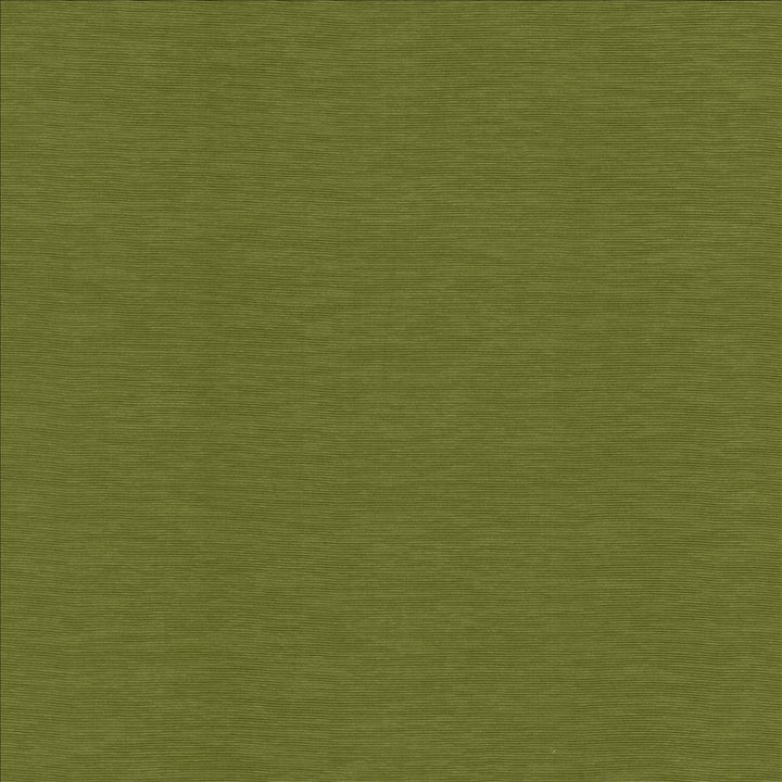 Lucinda Avocado by Kasmir Designer Fabric 5166 72% Rayon
28% Polyester
 CHINA 40,000 Martindale Cycles </p><p>Repeat: Horizontal: N/A and Vertical: N/A 54 - Swanky Fabrics -