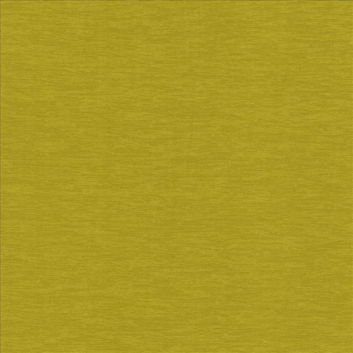 Lucinda Chartreuse by Kasmir Designer Fabric 5166 72% Rayon
28% Polyester
 CHINA 40,000 Martindale Cycles </p><p>Repeat: Horizontal: N/A and Vertical: N/A 54 - Swanky Fabrics -