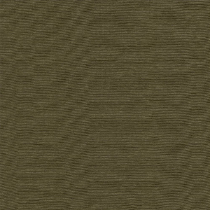 Lucinda Chocolate by Kasmir Designer Fabric 5166 72% Rayon
28% Polyester
 CHINA 40,000 Martindale Cycles </p><p>Repeat: Horizontal: N/A and Vertical: N/A 54 - Swanky Fabrics -