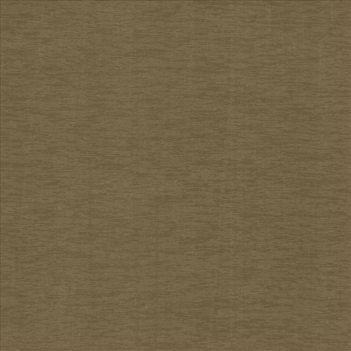 Lucinda Cocoa by Kasmir Designer Fabric 5166 72% Rayon
28% Polyester
 CHINA 40,000 Martindale Cycles </p><p>Repeat: Horizontal: N/A and Vertical: N/A 54 - Swanky Fabrics -