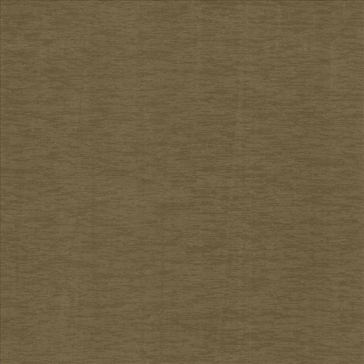 Lucinda Cocoa by Kasmir Designer Fabric 5166 72% Rayon
28% Polyester
 CHINA </p><p>Repeat: Horizontal: N/A and Vertical: N/A 54 - Swanky Fabrics -
