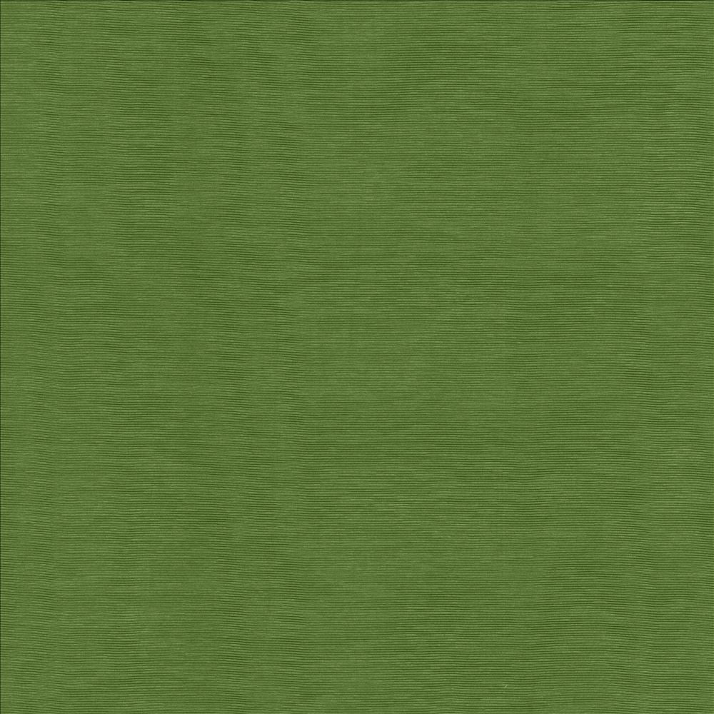Lucinda Grass by Kasmir Designer Fabric 5166 72% Rayon
28% Polyester
 CHINA 40,000 Martindale Cycles </p><p>Repeat: Horizontal: N/A and Vertical: N/A 54 - Swanky Fabrics -