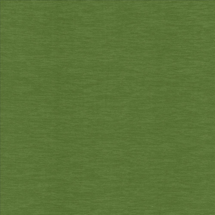 Lucinda Grass by Kasmir Designer Fabric 5166 72% Rayon
28% Polyester
 CHINA 40,000 Martindale Cycles </p><p>Repeat: Horizontal: N/A and Vertical: N/A 54 - Swanky Fabrics -