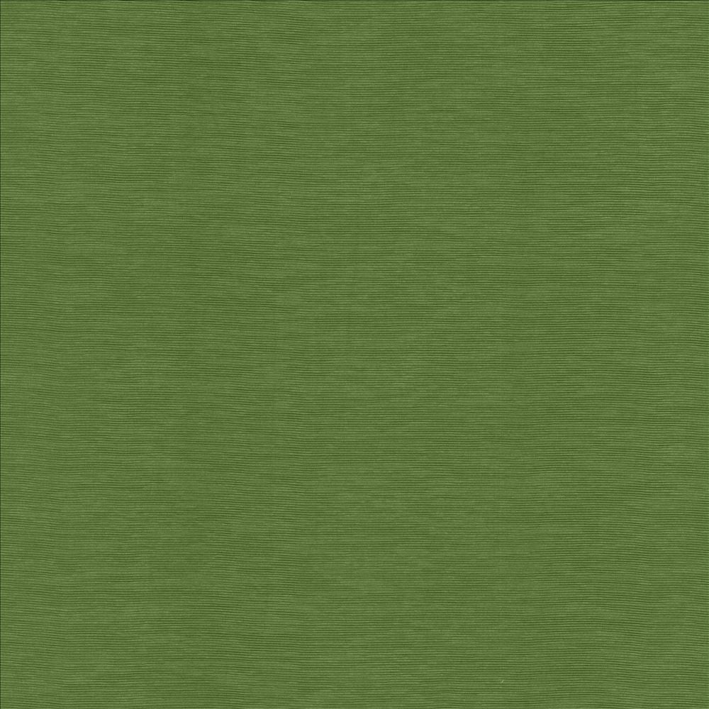Lucinda Grass by Kasmir Designer Fabric See sample 72% Rayon
28% Polyester
 CHINA 40,000 Martindale Cycles </p><p>Repeat: Horizontal: N/A and Vertical: N/A 54 - Swanky Fabrics -