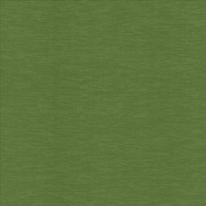 Lucinda Grass by Kasmir Designer Fabric 5166 72% Rayon
28% Polyester
 CHINA </p><p>Repeat: Horizontal: N/A and Vertical: N/A 54 - Swanky Fabrics -