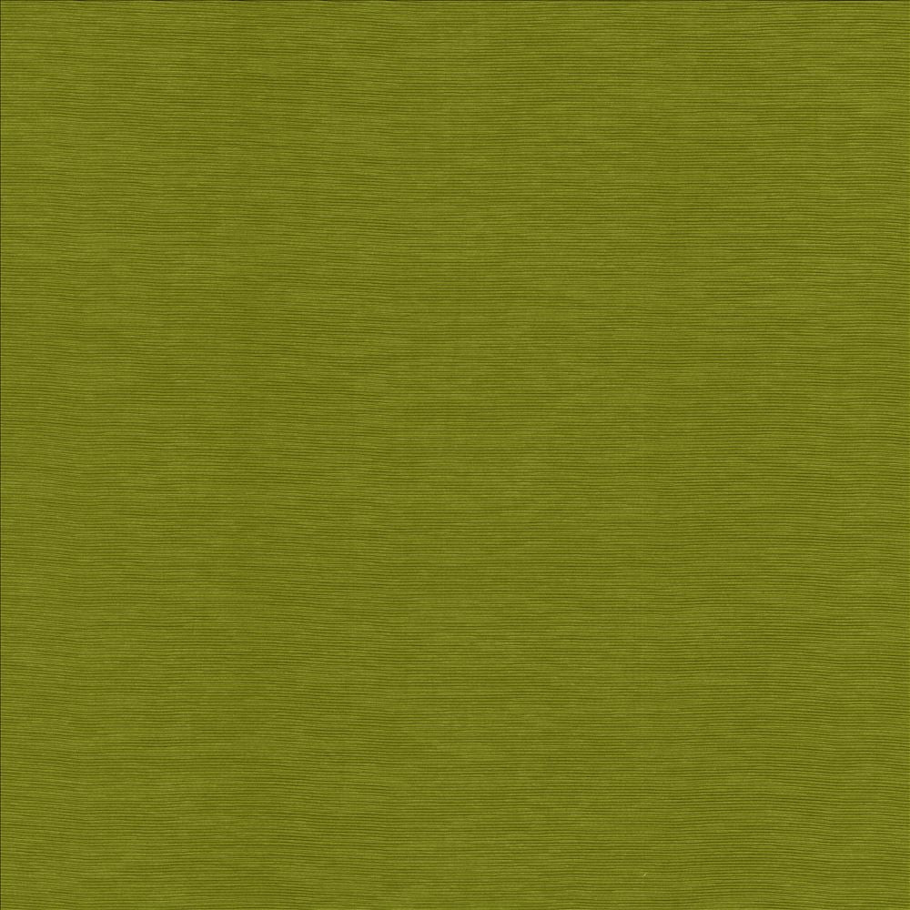 Lucinda Kiwi by Kasmir Designer Fabric 5166 72% Rayon
28% Polyester
 CHINA 40,000 Martindale Cycles </p><p>Repeat: Horizontal: N/A and Vertical: N/A 54 - Swanky Fabrics -