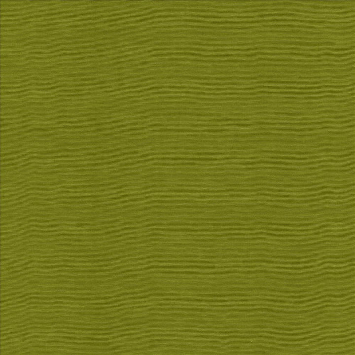 Lucinda Kiwi by Kasmir Designer Fabric 5166 72% Rayon
28% Polyester
 CHINA 40,000 Martindale Cycles </p><p>Repeat: Horizontal: N/A and Vertical: N/A 54 - Swanky Fabrics -