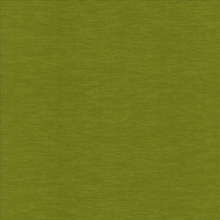 Lucinda Kiwi  by Kasmir Designer Fabric 5166 72% Rayon
28% Polyester
 CHINA 40,000 Martindale Cycles Horizontal: N/A and Vertical: N/A 54  - Swanky Fabrics -