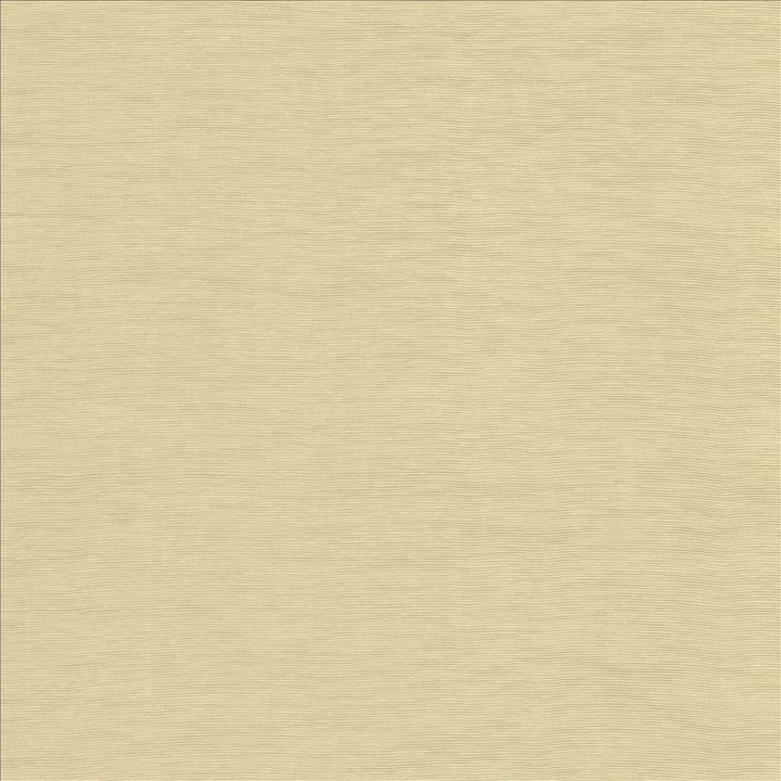 Lucinda Oatmeal by Kasmir Designer Fabric 5166 72% Rayon
28% Polyester
 CHINA 40,000 Martindale Cycles </p><p>Repeat: Horizontal: N/A and Vertical: N/A 54 - Swanky Fabrics -