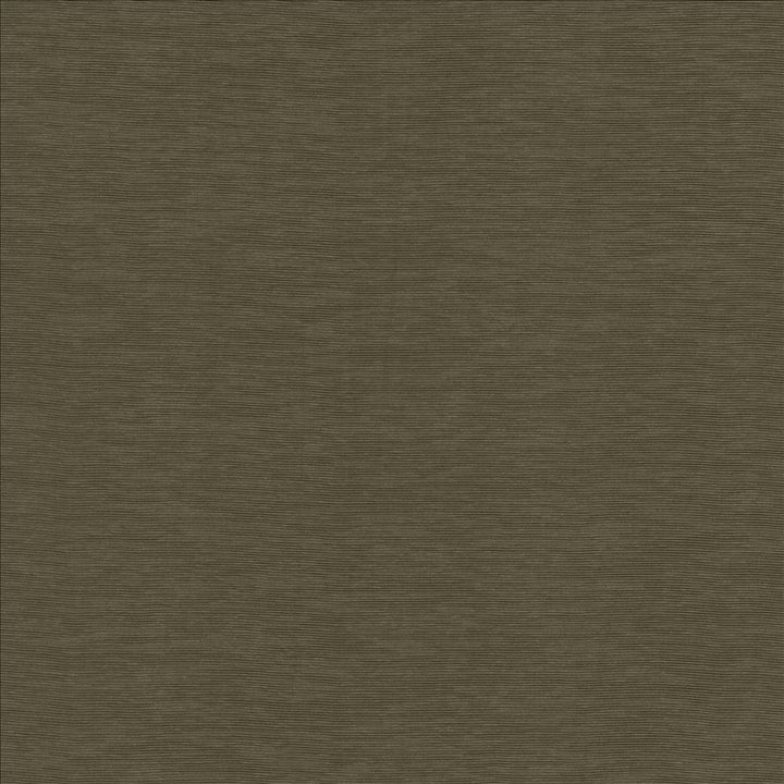 Lucinda Smoke by Kasmir Designer Fabric 5166 72% Rayon
28% Polyester
 CHINA </p><p>Repeat: Horizontal: N/A and Vertical: N/A 54 - Swanky Fabrics -