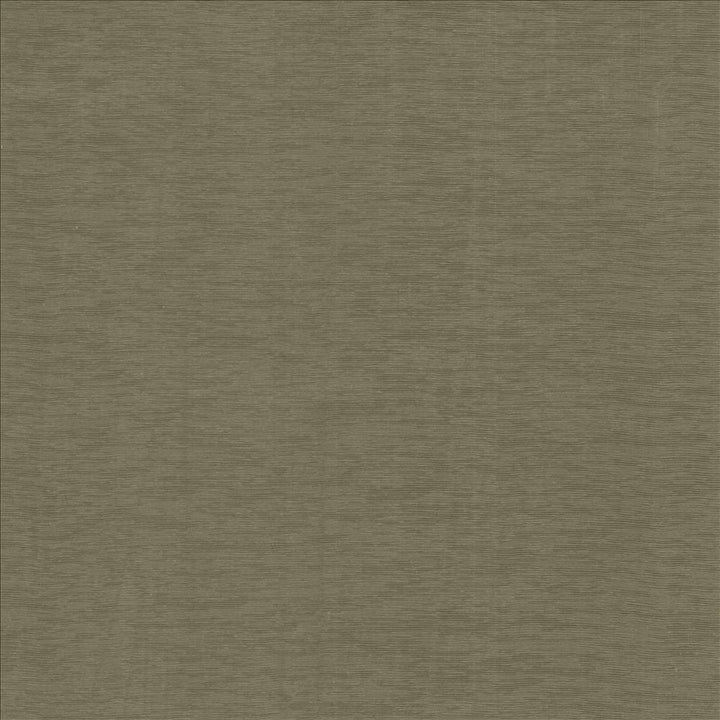 Lucinda Stone by Kasmir Designer Fabric 5166 72% Rayon
28% Polyester
 CHINA 40,000 Martindale Cycles </p><p>Repeat: Horizontal: N/A and Vertical: N/A 54 - Swanky Fabrics -