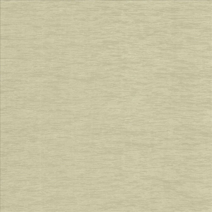 Lucinda Vapor by Kasmir Designer Fabric 5166 72% Rayon
28% Polyester
 CHINA 40,000 Martindale Cycles </p><p>Repeat: Horizontal: N/A and Vertical: N/A 54 - Swanky Fabrics -