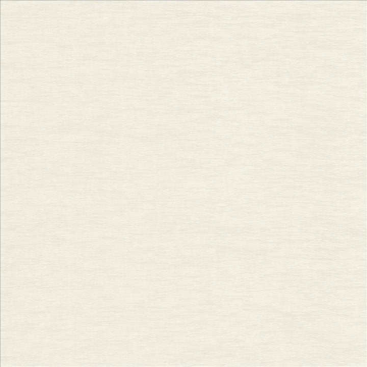 Lucinda White by Kasmir Designer Fabric 5166 72% Rayon
28% Polyester
 CHINA 40,000 Martindale Cycles </p><p>Repeat: Horizontal: N/A and Vertical: N/A 54 - Swanky Fabrics -