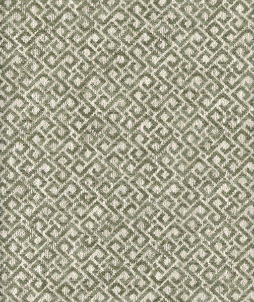 Roth & Tompkins Fabric Lugano Leaf