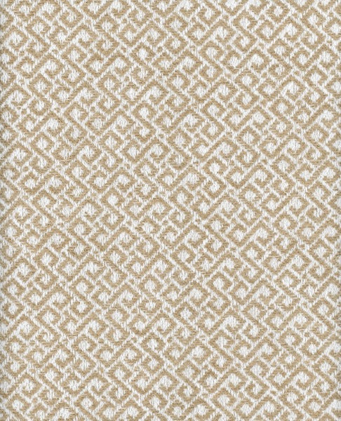 Roth & Tompkins Fabric Lugano Rattan