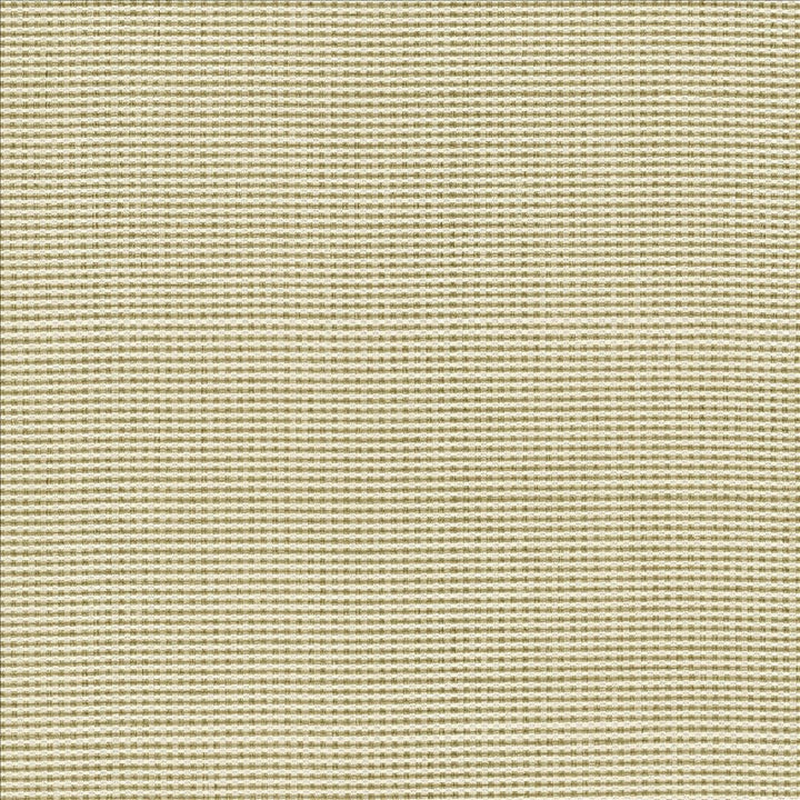 Lunar Crossing Natural by Kasmir Designer Fabric 1457 100% Polyester
 INDIA 30,000 Wyzenbeek Double Rubs </p><p>Repeat: Horizontal: N/A and Vertical: N/A 56 - Swanky Fabrics -