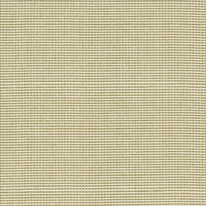 Lunar Crossing Natural by Kasmir Designer Fabric See sample 100% Polyester
 INDIA 30,000 Wyzenbeek Double Rubs </p><p>Repeat: Horizontal: N/A and Vertical: N/A 56 - Swanky Fabrics -