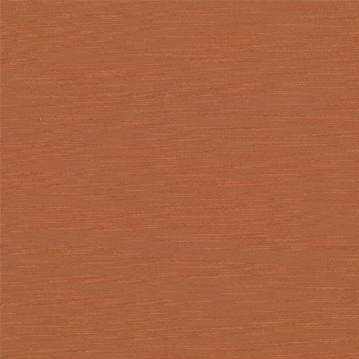Luxe Adobe by Kasmir Designer Fabric 1447 88% Rayon
12% Polyester
 USA </p><p>Repeat: Horizontal: N/A and Vertical: N/A 54 - Swanky Fabrics -